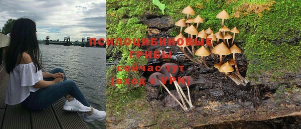не бодяженный Володарск