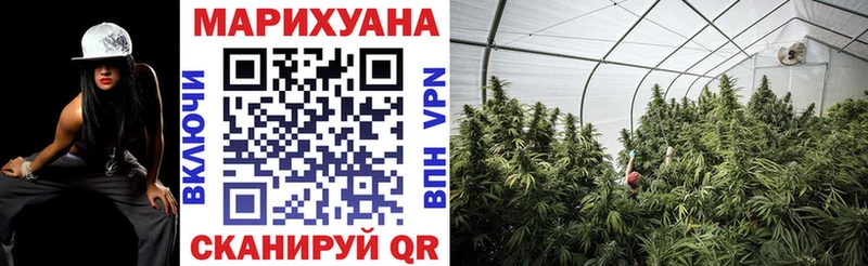 где найти   Инсар  Бошки Шишки сатива 
